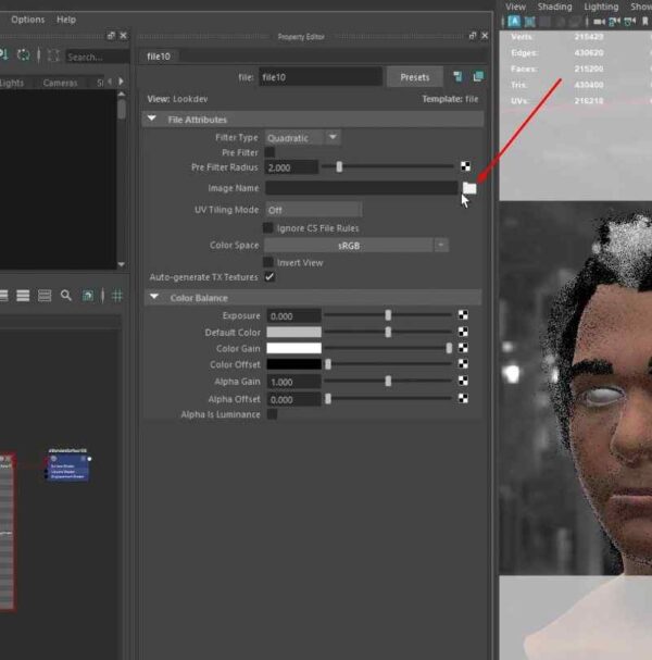 Face Rendering with Maya & Arnold: Practical Tutorial - Exercise