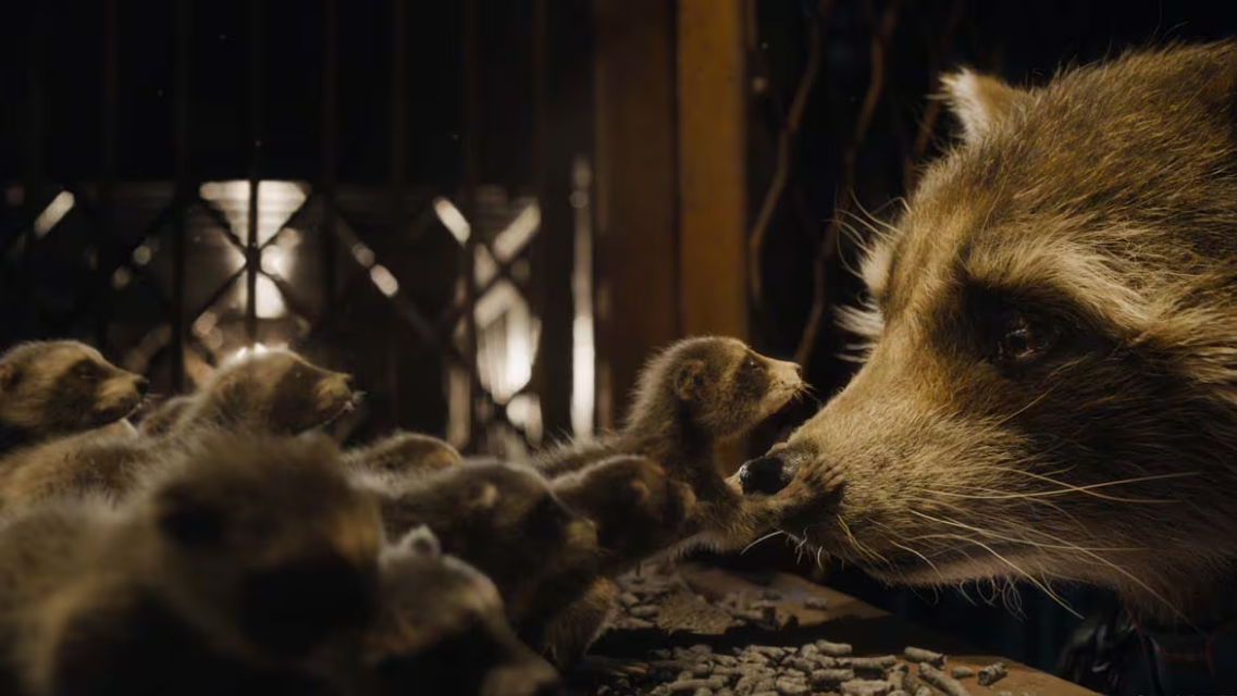 Get Comfortable with Maya’s Interface and Viewports